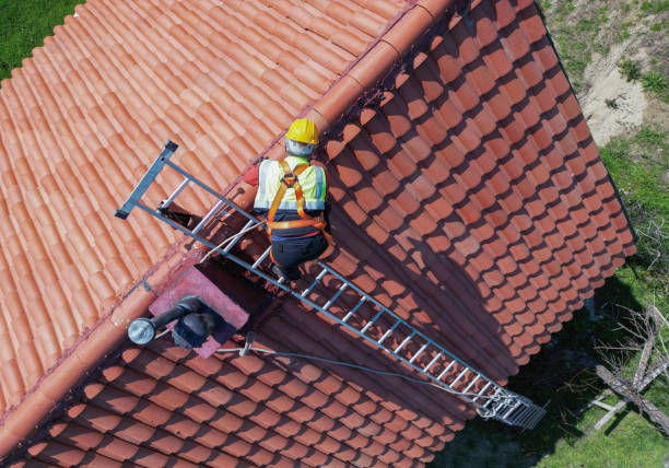 Best Roof Maintenance and Cleaning  in North Great River, NY